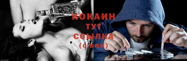 индика Алексин