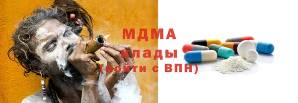 индика Алексин