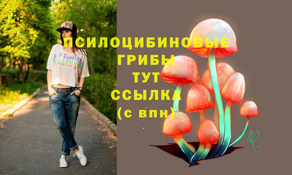 индика Алексин