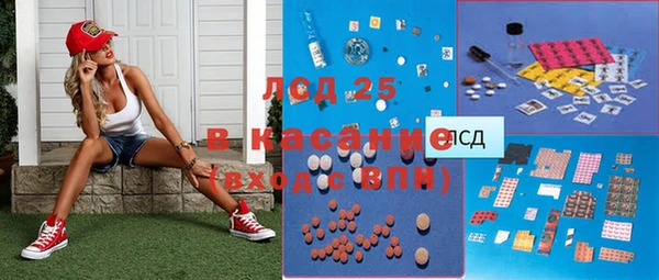 индика Алексин