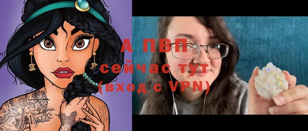 индика Алексин